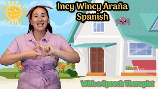 Spanish Nursery Rhymes & Songs for Kids | Itsy Bitsy Spider | La Incy Wincy Araña | Finger-play