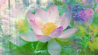 "Portrait of Sublimity" Healing Meditation Music by Rebecca Tripp