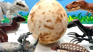 Giant Dinosaur Egg Broken | Tyrannosaurus Rex Triceratops Ankylosaurus