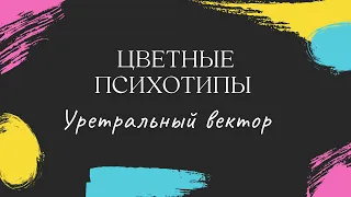 Цветные психотипы. Уретральный вектор