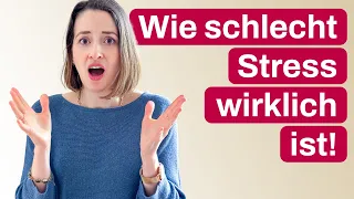 Die erschreckende Wahrheit über Stress und wie du deine Gesundheit schützen kannst