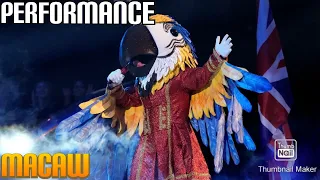 Macaw Performs "Your Song" By Elton John | Masked Singer | S9 E12