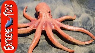 The Octopus Stow Away! Mysterious Squid Toy Sea Creature on the Beach. "Part 1"