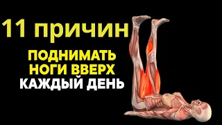 11 причин ПОДНИМАТЬ НОГИ вверх каждый день!