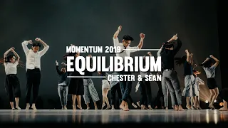 MOMENTUM 2019 - Equilibrium