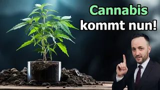 SO wird Cannabis nun "LEGAL" 🥦 | Herr Anwalt