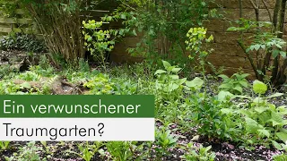 Update! Ein Spaziergang durch unseren verwunschenen Naturgarten.