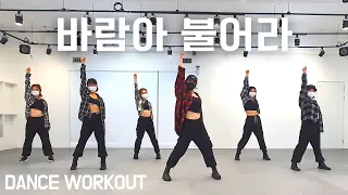 [DANCE WORKOUT] 바람아불어라Remix / 레드애플 / 거울모드 Mirror Mode