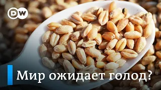 Зерновая сделка: Путин разорвал соглашение, что будет делать Украина и чем это обернется для мира?