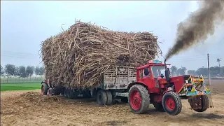 tractor load trolley pulling the fail || crazy tractor driver with tractor stunts || tractor video