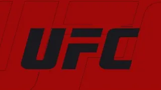 EA SPORTS™ UFC® 3 избиение андрея