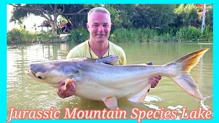 Jurassic Mountain Fishing Resort Species Lake - June 2023 #fishing #thailand #fish #montage