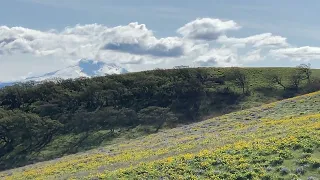 Seven Mile Hill in Oregon