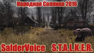 S.T.A.L.K.E.R. - Народная солянка 2016. - Молния и поиски изморфов.