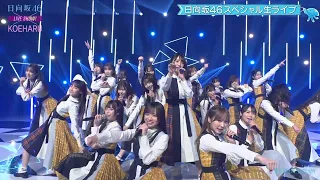 日向坂46 『ってか』