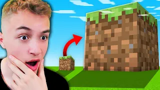 Minecraft ali Blokovi su OGROMNI..