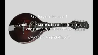 Pat Horgan's No 1 - a polka in D Major tabbed for mandolin and played by Aidan Crossey