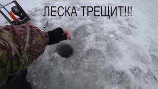 Вот это удача    Леска трещит, но щука наша на безмотылку!!!