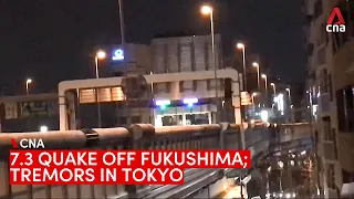 7.3 earthquake hits Japan off Fukushima coast; tremors felt in Tokyo