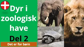 Dyr i zoologisk have | Video med dyr Del 2