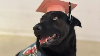 Prison dog program celebrates 5th anniversary