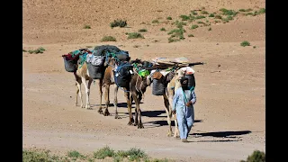 trek désert maroc avec Les hommes bleus