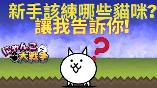 【貓咪大戰爭】推薦給新手的稀有+激稀有貓咪!