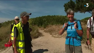 GR34 : balade à Plouguerneau