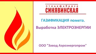 Газификация помета  Выработка ЭЛЕКТРОЭНЕРГИИ