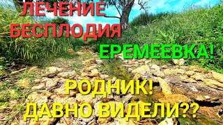 Родник Еремеевка. Лечение бесплодия. Одесская область. чудеса. Позитив. Украина. Вода. #зоотроп