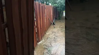 Flooded backyard-