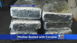 Mom Arrested With 40 Pounds Of Cocaine In Her Vehicle