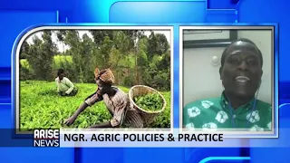 NIGERIA'S AGRICULTURE POLICIES & PRACTICE - ARISE XCHANGE
