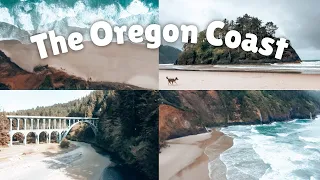 Oregon Coast Roadtrip & Best Spots on Highway 101 | Van Life Vlog