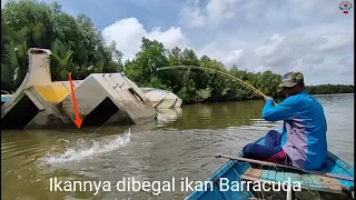 This is the first time I have been fishing for Strike for this many Barramundi fish in one spot