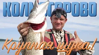 Колмогорово - щучий край. Енисейские хроники 2020