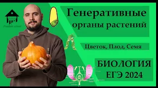 Генеративные органы и Жизненный цикл покрытосеменных ДЛЯ ЕГЭ 2024 |ЕГЭ БИОЛОГИЯ|Freedom|