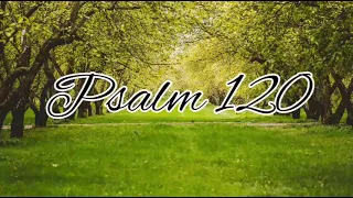 Psalm 120 - NLT Audiovisual
