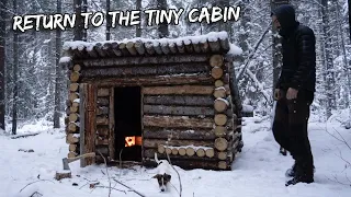 Return to the Secret Tiny Cabin - Overnight Camping in the Snow
