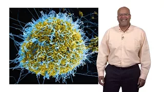 Paul E. Turner (Yale) 1: Introduction to Virus Ecology and Evolution