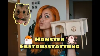 Goldhamster Erstausstattung Haul: Artgerecht - Zooplus, Amazon...