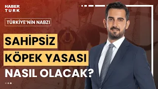 Başıboş köpekler sorununda neden orta yol bulunamıyor? | Türkiye'nin Nabzı - 23 Mayıs 2024