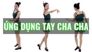 Tập Tay Cha Cha l Series Cha Cha Cơ Bản l Tự Tập Khiêu Vũ Tại Nhà/ Online