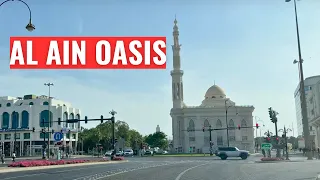 4000 Year Old OASIS in Abu Dhabi 🇦🇪 - Al Ain Oasis