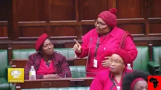 EFF Ladies Causing Chaos In Parliament