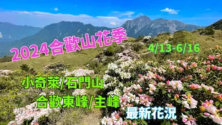 2024合歡山花季(小奇萊*石門山/合歡山東峰/主峰)