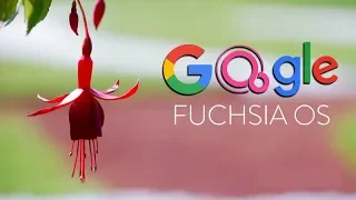 Fuchsia OS – «убийца» Android и iOS