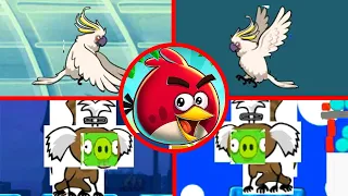 Angry Birds Rio Remaster - All Bosses (Boss Fight) 1080P 60 FPS