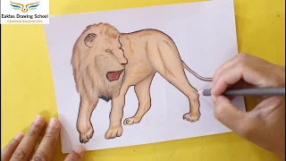 How to draw a lion easy step by step(narrated )