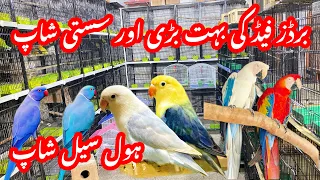 Sunday birds market Islamabad birds feed price update/itwar bazaar Islamabad h9